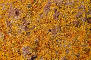 un cerca arriba de un pila de amarillo y marrón suciedad foto