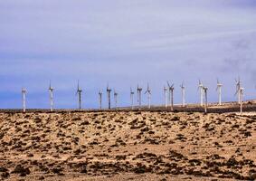 wind turbines in the desert photo