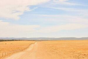 a dirt road in the middle of an open field photo