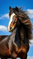 AI generated a powerful stallion with flowing mane and tail, standing proudly against a blue sky photo