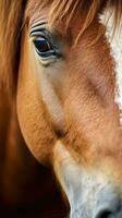 ai generado amable marrón caballo, con suave ojos y un curioso expresión foto