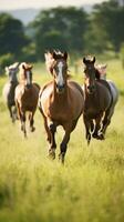 ai generado un grupo de caballos corriendo a través de un prado, capturado en un dinámica acción Disparo foto