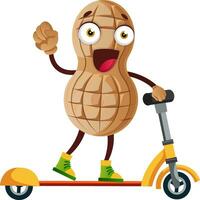 Peanut character on scooter vector