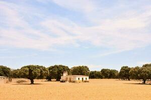 a small building in the middle of a field photo