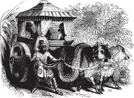 Indian Carriage, vintage illustration. vector