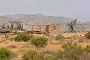 an old building in the desert with a dead tree photo