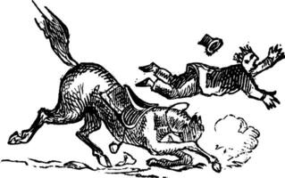 Horse Throwing Man, vintage illustration vector