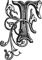 F, Floral initial, vintage illustration vector