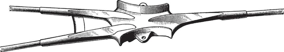 Double Curve Suspension, vintage illustration. vector