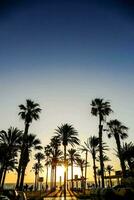 the sun sets behind palm trees on a beach photo