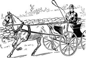 caballo dibujado carro, Clásico ilustración. vector