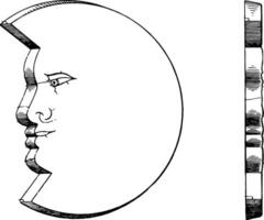 Moon Shaped Biscuit vintage illustration vector