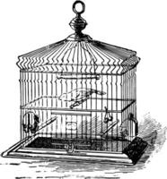 Birdcage vintage illustration. vector