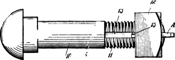 Nut Lock vintage illustration. vector