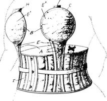 busto seguidor caracteristicas un cintura adjunto archivo Clásico grabado. vector