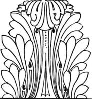 Acanthus Leaves Roman acanthus constitutes a type vintage engraving. vector