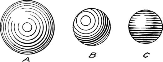 Sphere Shading, useful skills for a representational,  vintage engraving. vector