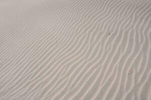 wavy lines in the sand dunes photo