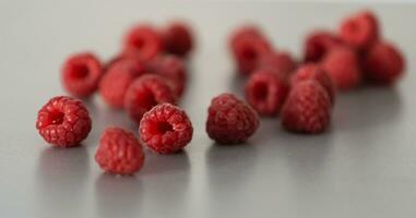 A beautiful selection of freshly picked ripe red raspberries. photo