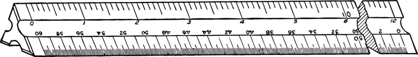 Engineer Scale Ruler fixed ratio of length vintage engraving. vector