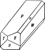 Elongation in the Direction of the Clinodiagonal Axis, vintage illustration. vector