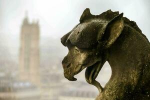 a statue of a dragon on a building with a city in the background photo