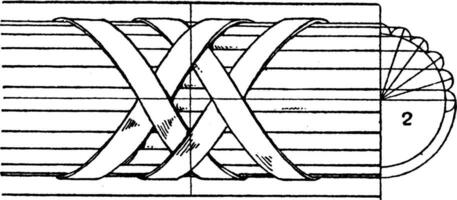 Modern Enrichment Torus Moulding, net work,  vintage engraving. vector