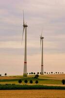 wind turbines in the field photo