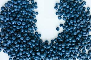 Surface is covered with a thick layer of blueberries, moorland harvest. Natural background. photo