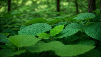 ai generado describir el específico sombras y texturas de verde en el hojas, destacando cómo ellos contribuir a el en general estética de el naturaleza antecedentes. foto