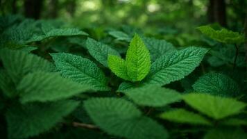 ai generado describir el específico sombras y texturas de verde en el hojas, destacando cómo ellos contribuir a el en general estética de el naturaleza antecedentes. foto