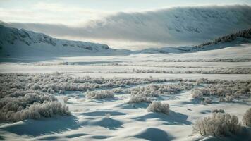 AI generated Detail the cultural significance of a pure white winter landscape in different societies. photo