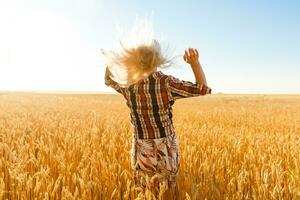 Woman in a wheat field on the background of the setting sun photo