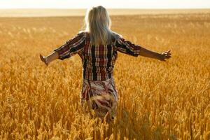 Woman in a wheat field on the background of the setting sun photo