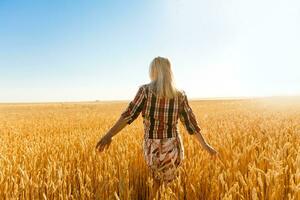 Woman in a wheat field on the background of the setting sun photo