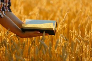 mujer participación un Biblia, un natural campo. foto