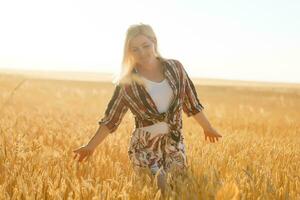 A girl in the midst of wheat spikelets. Caucasian woman posing with spikelets outside. photo