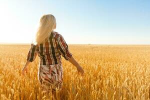 A girl in the midst of wheat spikelets. Caucasian woman posing with spikelets outside. photo