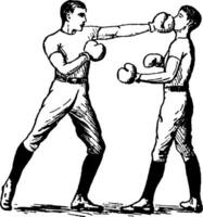 Boxing vintage illustration. vector