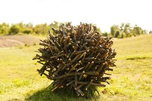 Wooded ball in the field background photo