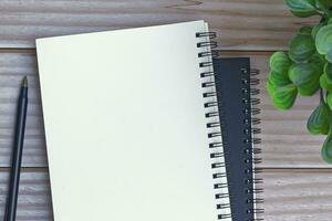 Directly above view of notepad with pen and potted plant on wooden desk. photo