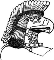 Assyrian Eagle-Head is natural pattern in this design, vintage engraving. vector