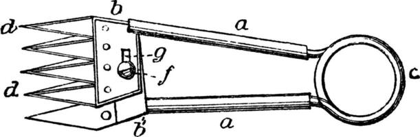 Multiple Bladed Sheep Shears, vintage illustration. vector