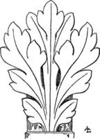 Gothic Leaf has a general naturalistic style, vintage engraving. vector