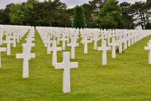 a large field of white crosses in a grassy area photo