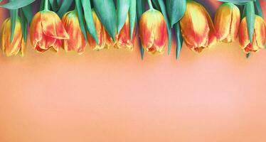 Peach Fuzz fresh flowers tulips background with copy space. Romantic composition. Flat lay, photo