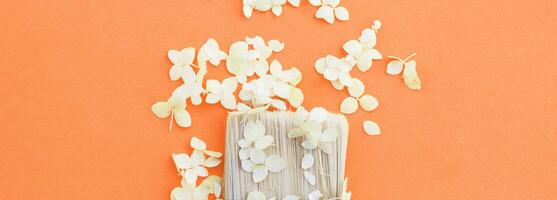 white hydrangea flowers and paint brush on a Peach Fuzz background with copy space. photo