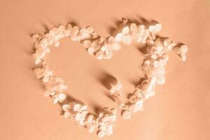 Heart symbol made of Peach Fuzz hydrangea flower petals on a background photo
