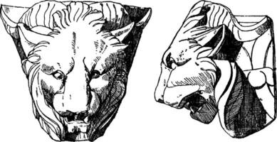 Chimaera Head is shown from its front and side view, vintage engraving. vector