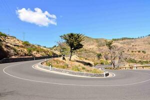 a curved road with a tree in the middle photo